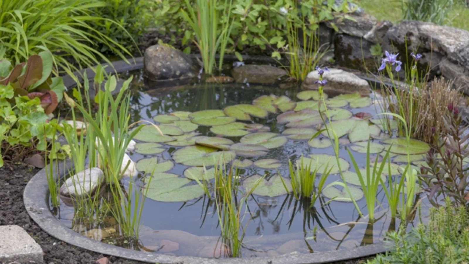 Do Fountain Water Features Attract Mosquitoes Outdoors