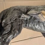 How To Maintain And Clean Steel Sculptures