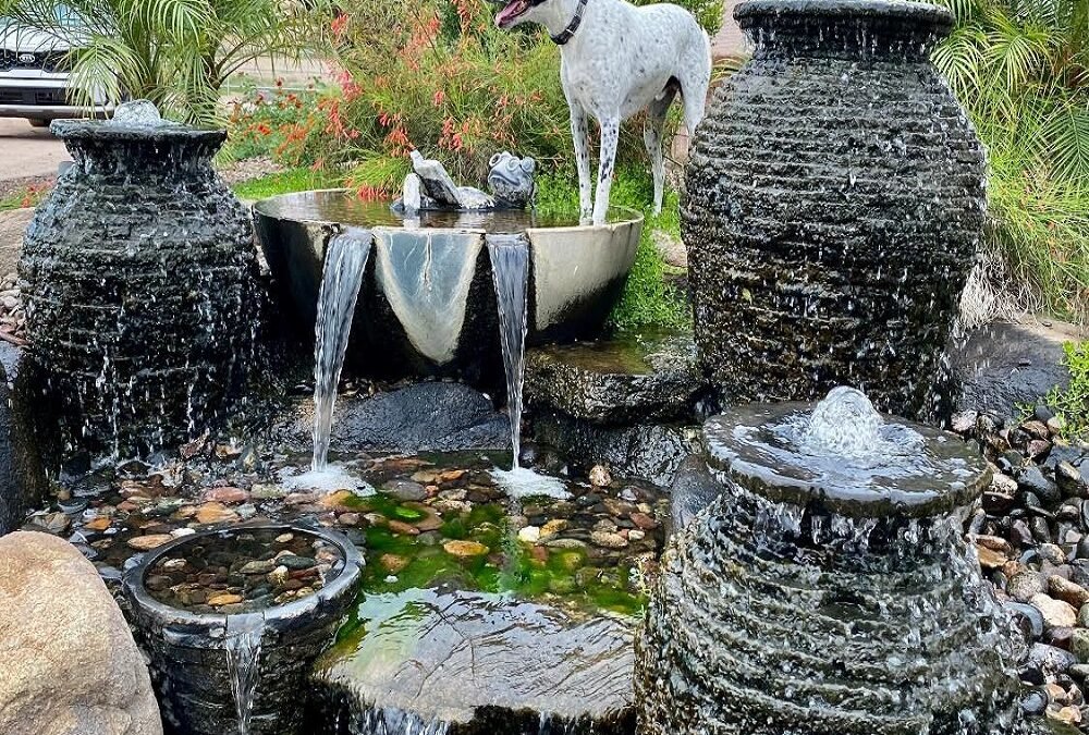 How to Maintain Your Fountain Easily