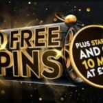 Explaining "Paylines" to beginners on this platform.