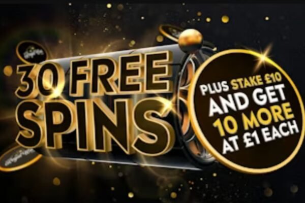 Explaining "Paylines" to beginners on this platform.